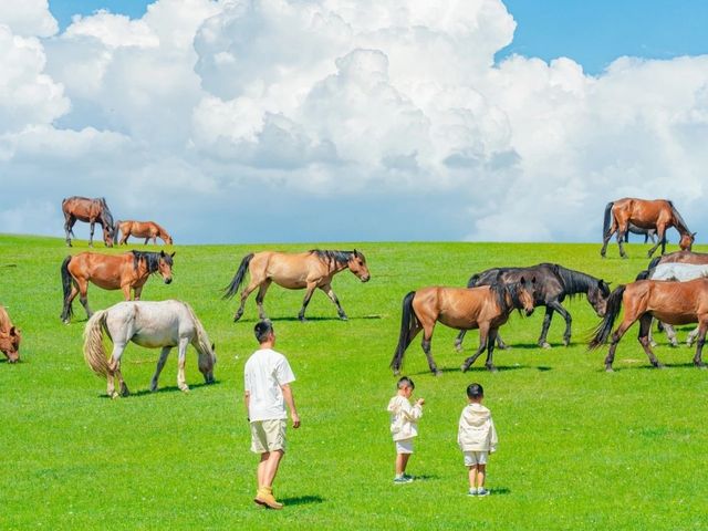 7-8月暑假帶娃出遊，最適合去呢6個避暑旅行地！