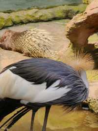 帶小朋友去動物園就啱晒！！！