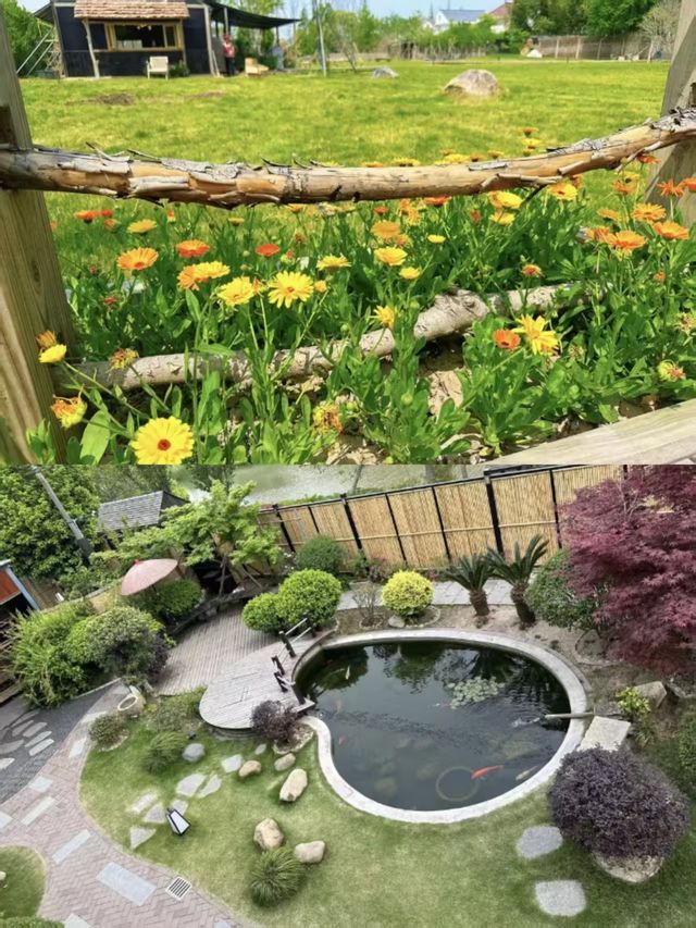 上海也山花園，愛了
