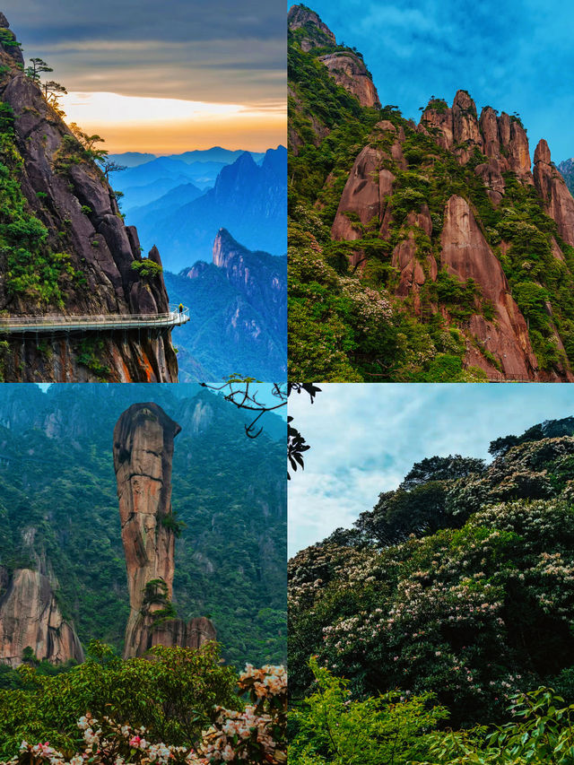 夏日慢時光：帶娃避暑嘅治癒系旅