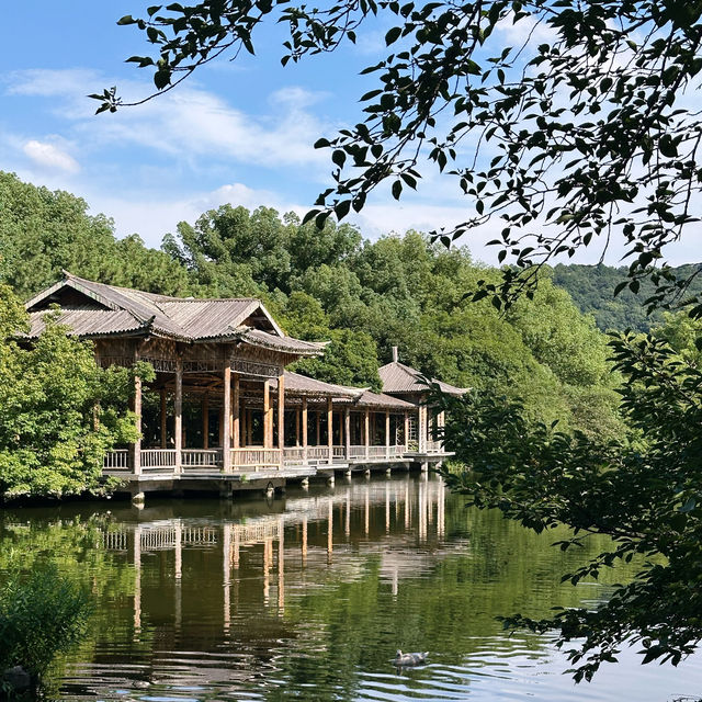 杭州西湖多條路線推薦｜從速刷到輕松沈浸遊玩，總有一條治好你的選擇困難