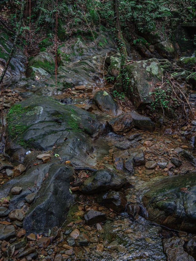 網紅閨蜜暴走千島湖3日2夜｜本地人先知的秘境路線