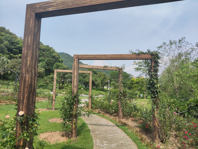 光影之約，解鎖深圳西岸秘境