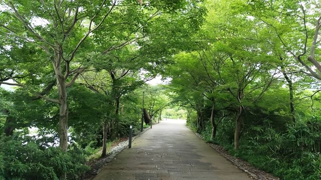宇治—在京都旁邊遇見抹茶與古韻。