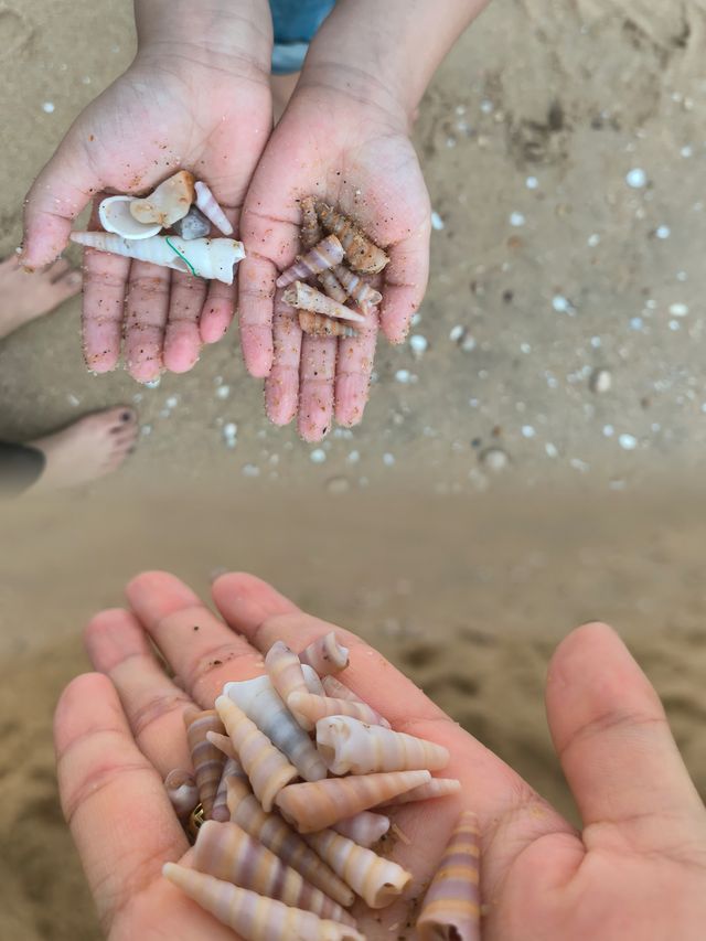 睇海‖睇展‖湊仔兩日一夜
