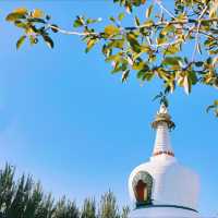 西塔延壽寺：梵音光影間，觸碰瀋陽嘅魂