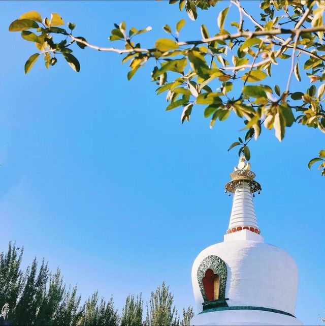 西塔延壽寺：梵音光影間，觸碰瀋陽嘅魂
