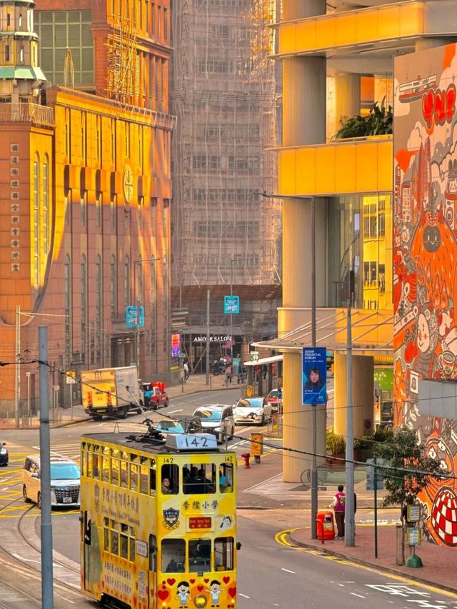 Hong Kong Victoria Harbour Sea View Ceiling ❤️