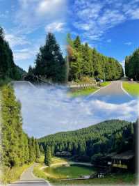 重慶市區三家唔會中伏嘅避暑酒店推薦！匿入冷氣房睇山城夜景