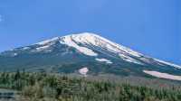 東京出發【富士山・忍野八海・溫泉體驗】