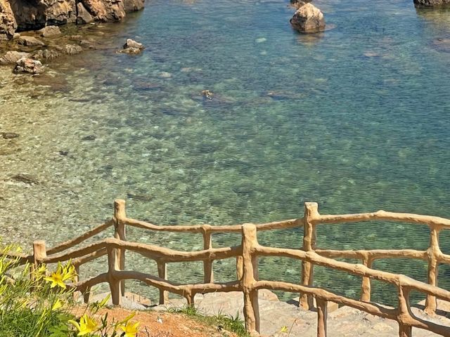 去咗4次養馬島，終於玩明白晒！