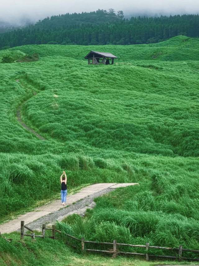 以為伊豆已經夠驚艷了,沒想到九州可以這麼絕! 以為伊豆已經夠驚艷了,沒想到九州可以這麼絕!