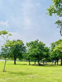 蘭陽平原上的田園詩——冬山河生態綠舟農場