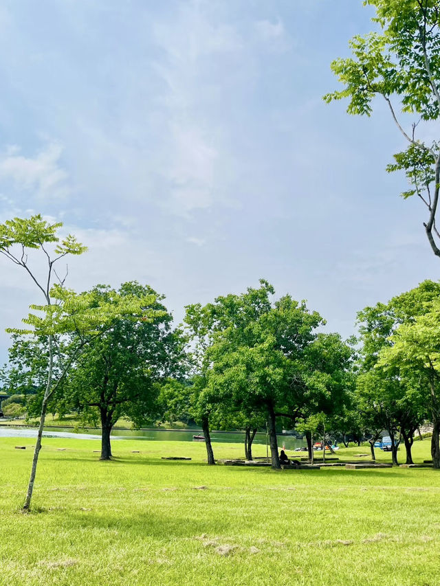 蘭陽平原上的田園詩——冬山河生態綠舟農場