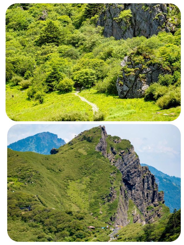 闖入綠野仙蹤！神農頂嘅夢幻之旅