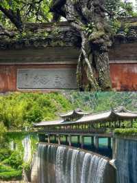 週末想逃離喧囂?來天台山的國清寺走走吧