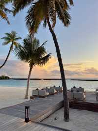 Comfortable Villas and Delicious Dining Experience