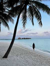 A Wonderful Gili Experience