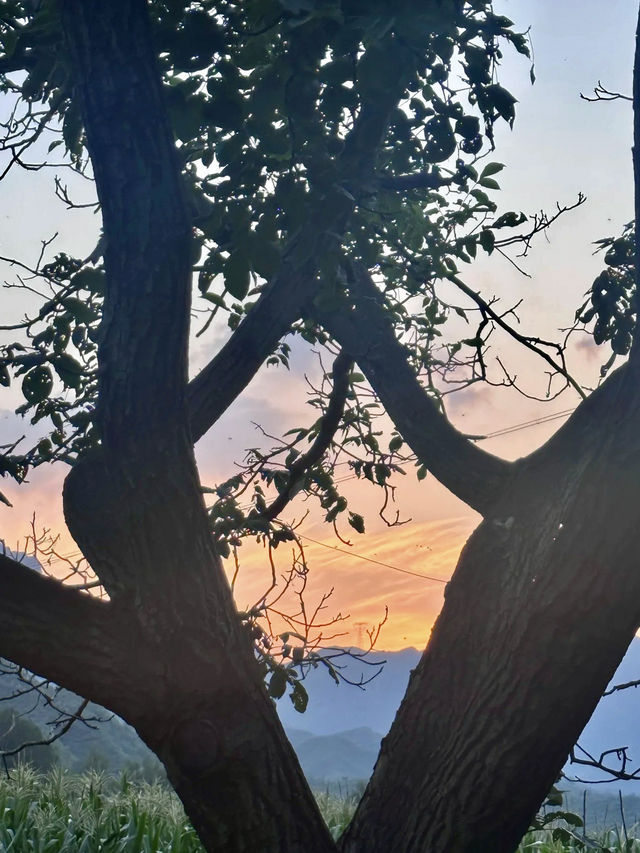 暖湯雲霧，盂縣大溫泉度假區