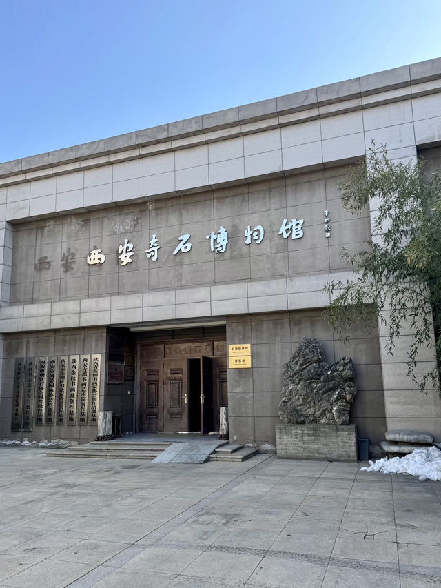 石中乾坤，西安高陵奇石博物館的歲月密語