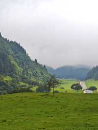 重慶仙女山，邂逅南國草原，探秘原始森林