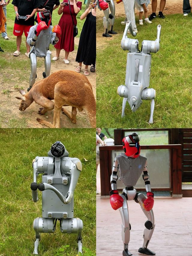 國慶節去哪玩｜來紫清湖野生動物世界與動物親密接觸吧！