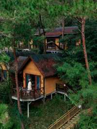 就在廣東信宜住進森林樹屋，天然氧吧！
