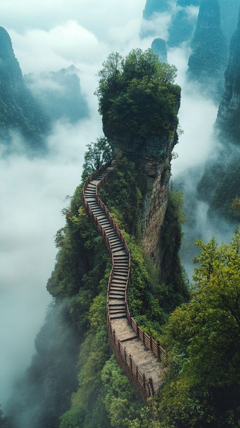 一個淨化心靈的地方一一費州梵淨山
