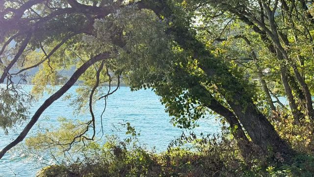 秋意漸濃的八幡平高原~ 秋意漸濃的八幡平高原~