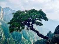 Escape in the beauty of Huangshan 