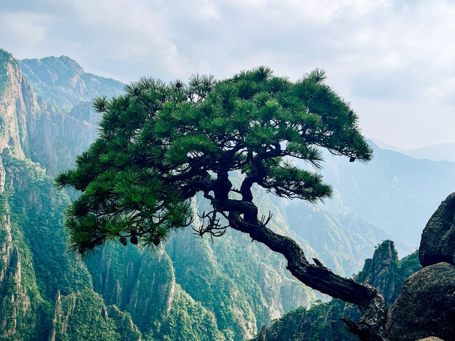 Escape in the beauty of Huangshan 