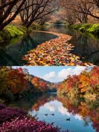 #曲靖金秋山水文化遊 如果你正在計劃一場旅行，那一定要來曲靖體驗一下金秋山水文化遊呀！ 曲靖的