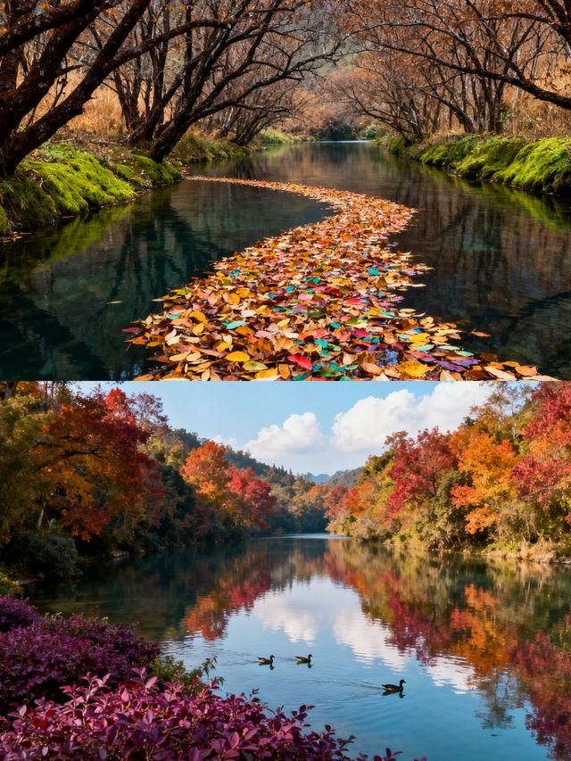 #曲靖金秋山水文化遊 如果你正在計劃一場旅行，那一定要來曲靖體驗一下金秋山水文化遊呀！ 曲靖的