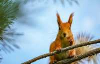 漫步哈薩克斯坦｜被這片絕美森林湖泊治癒了