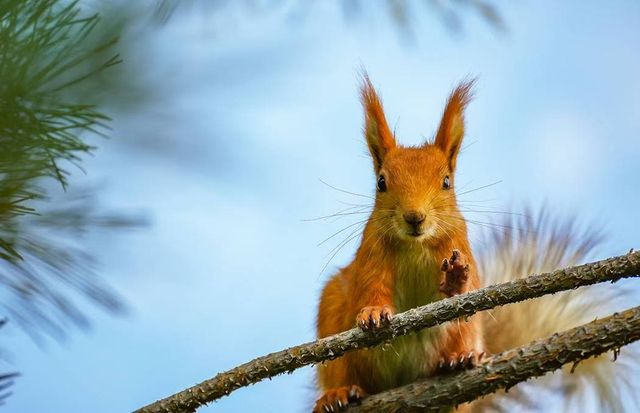 漫步哈薩克斯坦｜被這片絕美森林湖泊治癒了