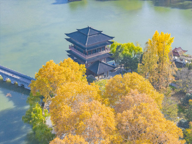 合肥逍遙津公園賞秋攻略不可錯過的寶藏地方