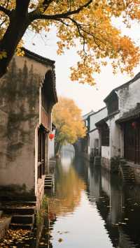 帶上家人來十月的浙江，玩出詩意江南，四天三晚旅行攻略