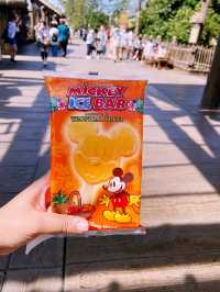 Tokyo DisneySea Bliss✨  