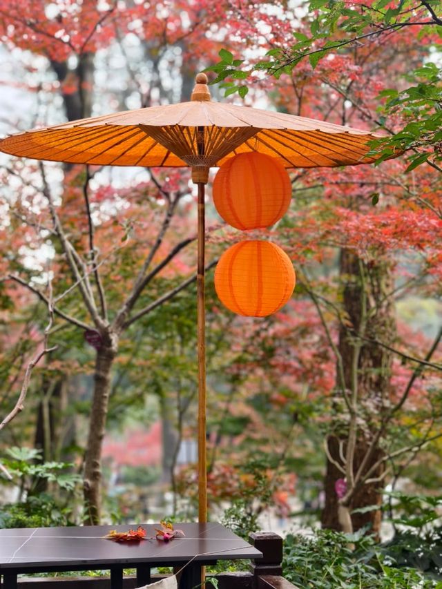 長沙｜總要去一次愛晚亭吧絕美紅葉勝地