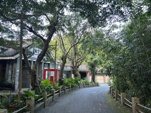 🍃 東部華僑城＆茶翁古鎮｜遠離塵囂、親近湖光山色