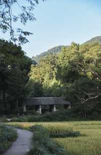 秋風微涼，稻穀滿倉：記第四次去國清寺