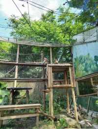 長隆動物世界一日暴走路線