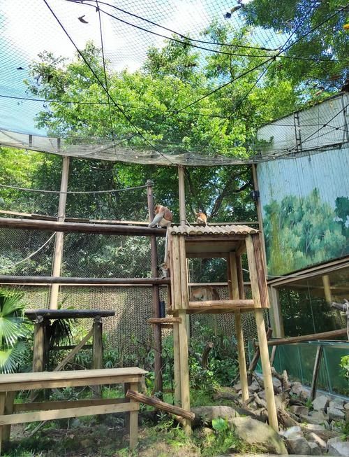 長隆動物世界一日暴走路線