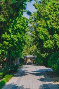 六朝宮闕的御道天階，在潘楊二湖間閱盡千年