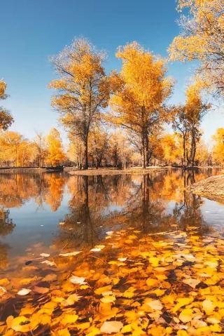 Stunning Autumn Scenery in Fuling