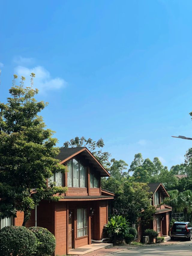 帶毛孩子泡私湯!這家溫泉酒店太可了 帶毛孩子泡私湯!這家溫泉酒店太可了