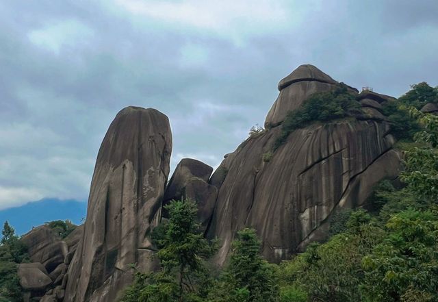 浙江江山市免費了，至次年3月31日！