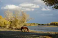 阿勒泰美翻的五彩灘