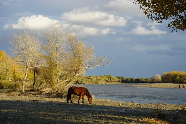 阿勒泰美翻的五彩灘