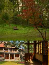 上海是一個巨大的公園…